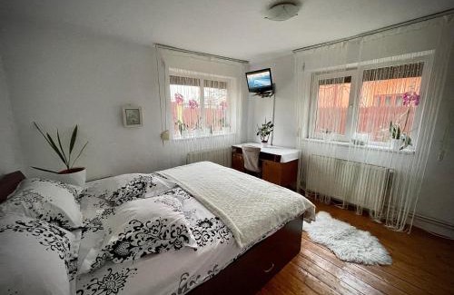 Craiova House | Pet-Friendly Ada-Ini House: Family-Approved Stay at 9/10