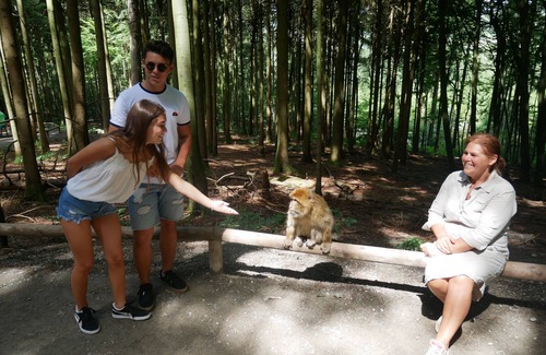 Vogt Hotel | Explore Adam & Eva Gasthof Paradies: Pet-Friendly Escape