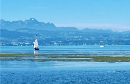 Vogt Hotel | Explore Adam & Eva Gasthof Paradies: Pet-Friendly Escape