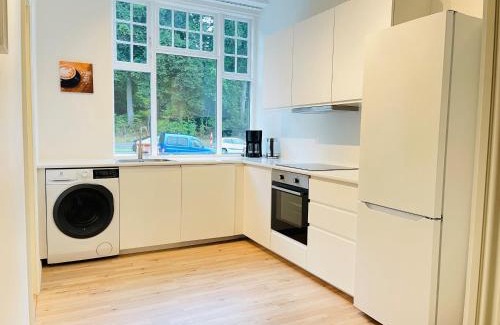Aalborg Apartment | Family-Friendly Aday: Aalborg Mansion with a Garden Retreat