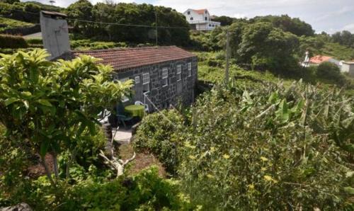 Calhau Hotel | Pet-Friendly Retreat at Adega do Gato - Rated 9/10