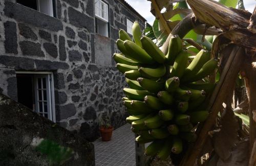 Calhau Hotel | Pet-Friendly Retreat at Adega do Gato - Rated 9/10