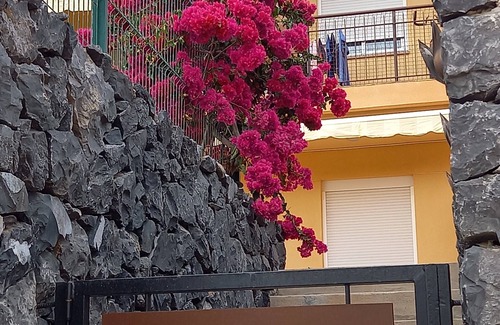 Adeje Apartment | Adeje Galeon SEA View: Top-Rated Family-Friendly Escape