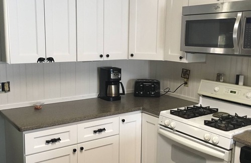Old Forge House | Experience Adirondack "Big House" with Pet-Friendly Amenities