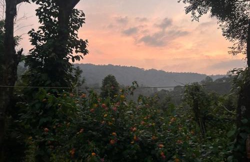 Samse House | Adis Home - with beautiful waterfalls and private stream