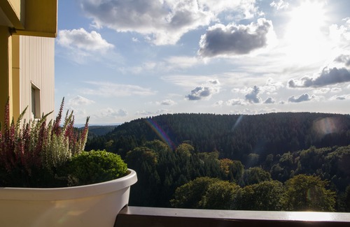 Hohegeiß Apartment | Experience Panoramic Views of the Harz Mountains