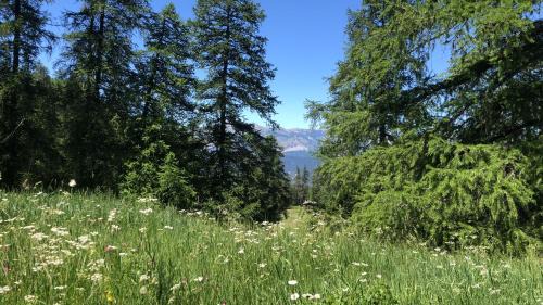 Guillaumes Hotel | Child-Friendly Escape at Adonis Le Chastellan, Rated 7.8
