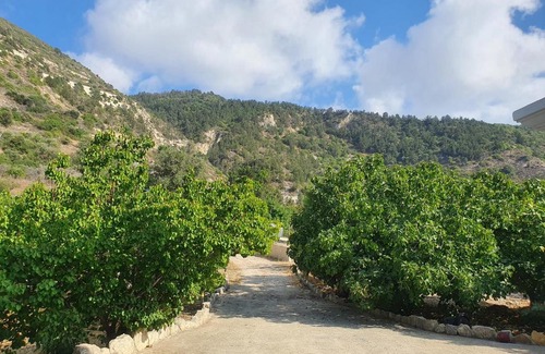 Koili House | Delightful Adonis Palace Rooms and Bungalows with Pool & Hot Tub