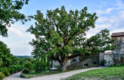 Marusici Bed & Breakfast | Discover ADQ Abbraccio della quercia - Guest Rated 9.7/10