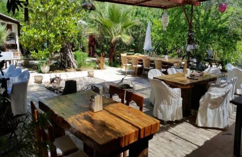 Adrasan Hotel | Adrasan Şekerbahçe Otel: Oceanfront Bliss & Pet Friendly