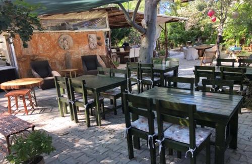 Adrasan Hotel | Adrasan Şekerbahçe Otel: Oceanfront Bliss & Pet Friendly