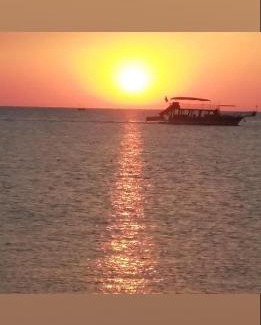 Adrasan Hotel | Experience the Bliss of Adrasan Maviay Hotel by the Beach