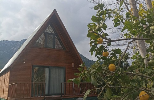 Adrasan Apartment | Perfect Stay at Adrasan Twin Aparts with Family-Friendly Amenities