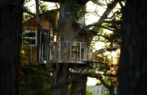 Spicewood House | Adventures Await at this Stunning Tree House Retreat in Texas