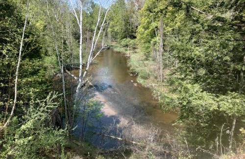 Marion House | Pet-Friendly Retreat at Cottage on the Bend - Rated 9.5/10