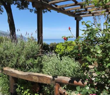 Damouchari Apartment | Discover Aegean Sunset: Family-Friendly 4-Star Retreat