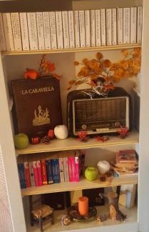 Cittadella House | Pet-Friendly Retreat at Affittacamere Ai Fiori