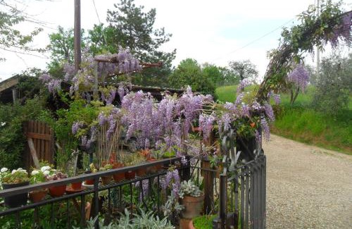 SantʼEllero House | Pet-Friendly Stay at Affittacamere DaMammaSara, Rated 8.7/10