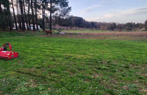 Tempio Pausania House | Discover Homesweethome: Family-Friendly Rural Retreat