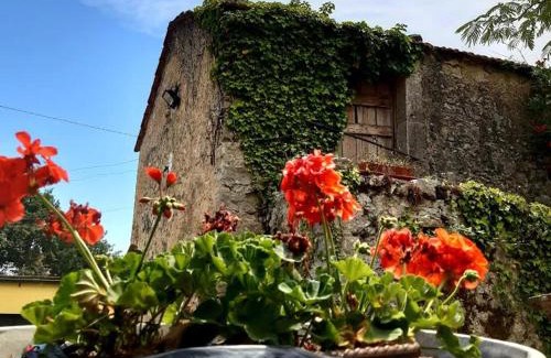 Montaquila Bed & Breakfast | Comfortable Stay at Affittacamere Varone with Spa & Breakfast