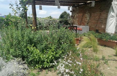 Orbetello Apartment | Delightful Stays at Affitti Brevi Toscana - Pet Friendly Retreat