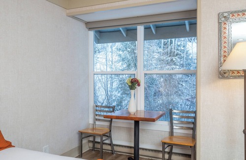 Telluride Hotel | Budget-Friendly Hotel Room in Telluride with River Views