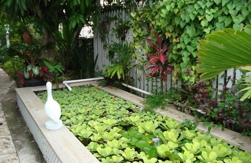 Nassau House | Budget-Friendly Tropical Townhouse, Steps from the Beach