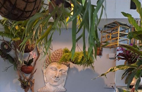 Fontainhas House | Top-Rated Afonso Guest House for Your Next Getaway
