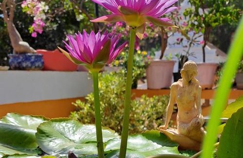 Fontainhas House | Top-Rated Afonso Guest House for Your Next Getaway