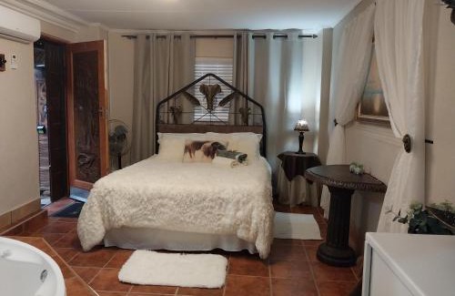 Stilfontein House | Discover African Elephant's Den: Pet-Friendly & Pool Access