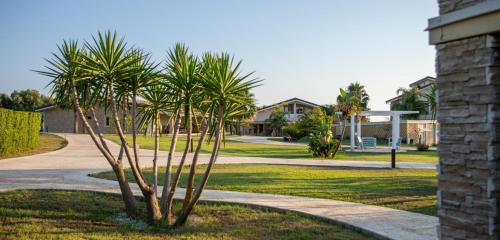 Ricadi Bed & Breakfast | Experience Agave Blu: Oceanfront Paradise with Pool Access