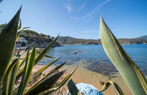 Scaglieri Apartment | Beachfront Agave Hotel in Goelba - Guests Rate 10/10
