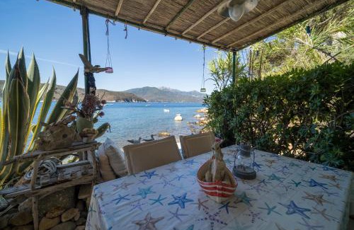 Scaglieri Apartment | Beachfront Agave Hotel in Goelba - Guests Rate 10/10