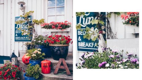 Kivik Bed & Breakfast | Relax at Agda Lund Bed & Breakfast with Hot Tub Access