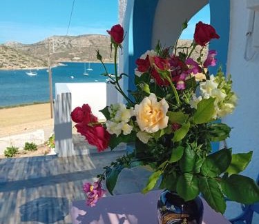 Lipsoi Apartment | Top-Rated Aggeliki's Apartments: Family-Friendly Getaway