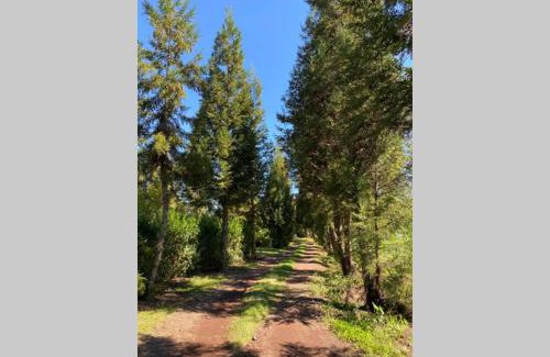 La Plaine des Cafres Ski Chalet | Cozy Chalet Surrounded by Pines - Family-Friendly Retreat