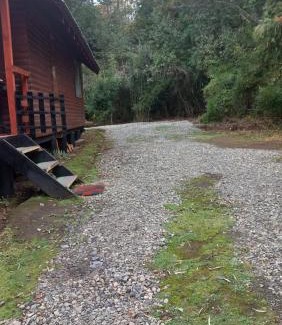 Villarrica House | Cozy Cabin Nestled in Native Forest - 10/10 Guest Rated