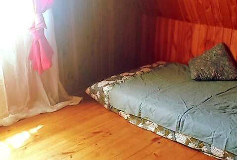 Panguipulli Apartment | Pet-Friendly Lakefront Cabin at Lago Panguipulli