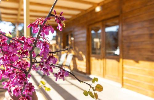 Dragano Apartment | Agrelia Homes 2: Family-Friendly Retreat with 9.7 Rating