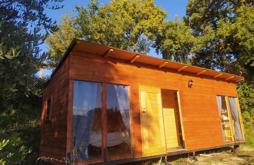 Cavriglia Other | Discover Agricampeggio la casa di Nicla: Pet-Friendly Retreat