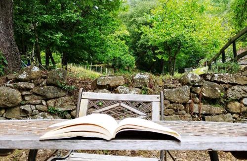 Dolceacqua Other | Explore Agricamping Ponteraggio n.1: Pet Friendly & Breakfast