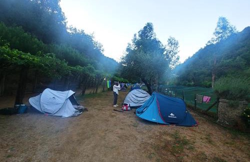 Dolceacqua Other | Explore Agricamping Ponteraggio n.1: Pet Friendly & Breakfast
