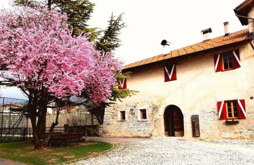 Casez House | Seaside Retreat at Agritur Ciastel - Rated 9.9/10!