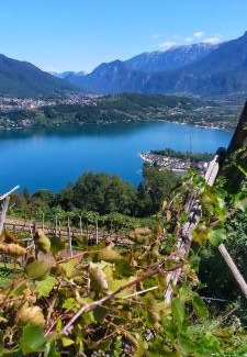 Bosentino Bed & Breakfast | Guest Rated: Agritur Maso Flonkeri with Oceanfront Views
