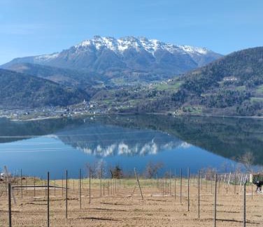 Tenna House | Discover AGRITUR SEDICI - Pet-Friendly B&B with Ocean Views