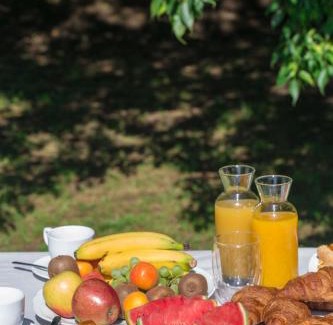 Castel San Pietro Terme Apartment | Pet-Friendly Agriturismo Molino Nuovo with Pool Access