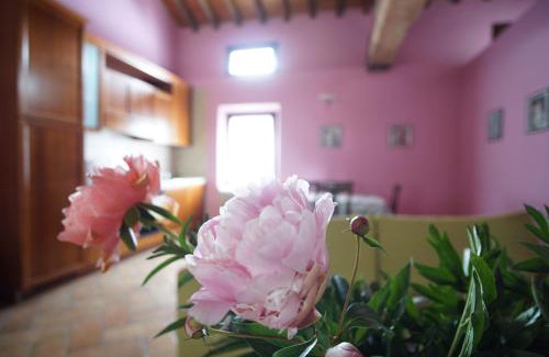 Montale House | Discover Agriturismo Aggazzotti: Pet-Friendly Oceanfront Retreat