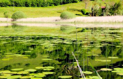 Ledro House | Discover Agriturismo al Marter: Pet-Friendly Escape