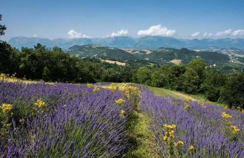 Smerillo House | Guest Rated 10/10 at Agriturismo Amargi - Pet Friendly Stay