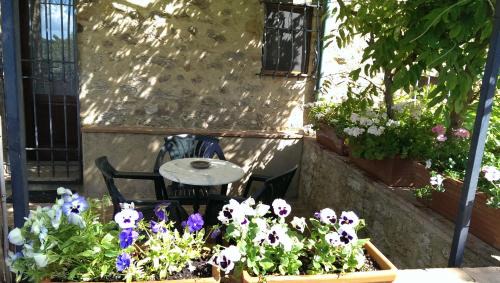 San Dalmazio House | Inviting Agriturismo Apparita with Pool & Ocean View